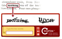 Recaptcha by Google